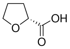 Merck (R)-(+)-TETRAHYDRO-2-FUROIC ACID, 99%