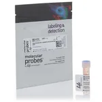 Thermo Fisher Scientific Alexa Fluor 610-X NHS Ester (Succinimidyl Ester)