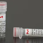 Merck MISSION(R) esiRNA