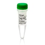Thermo Fisher Scientific Yeast tRNA (10 mg/mL)