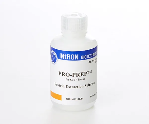 Intron PRO-PREP™ Protein Extraction Solution (C/T)