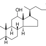 Merck (HO-DI-ME-OXO-HEXADECAHYDRO-CY - 25 MG&