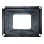 Thermo Fisher Scientific EVOS FL Auto Master Plate for Large Vessels
