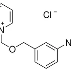 Merck 1-(3-NITROBENZYLOXYMETHYL)PYRID-