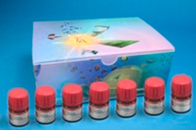 Merck Homogeneous Palladium Catalysts Kit I