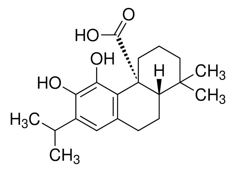 Merck Carnosic Acid