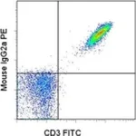 Thermo Fisher Scientific Rat anti-Mouse IgG2a Secondary Antibody, PE, eBioscience
