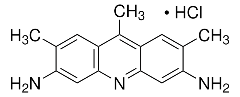 Merck BASIC YELLOW 9 (PHOSPHINE GRNA C.I