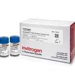 Thermo Fisher Scientific Dynabeads CD34 Positive Isolation Kit