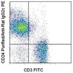 Thermo Fisher Scientific Mouse anti-Rat IgG2c Secondary Antibody, PE, eBioscience