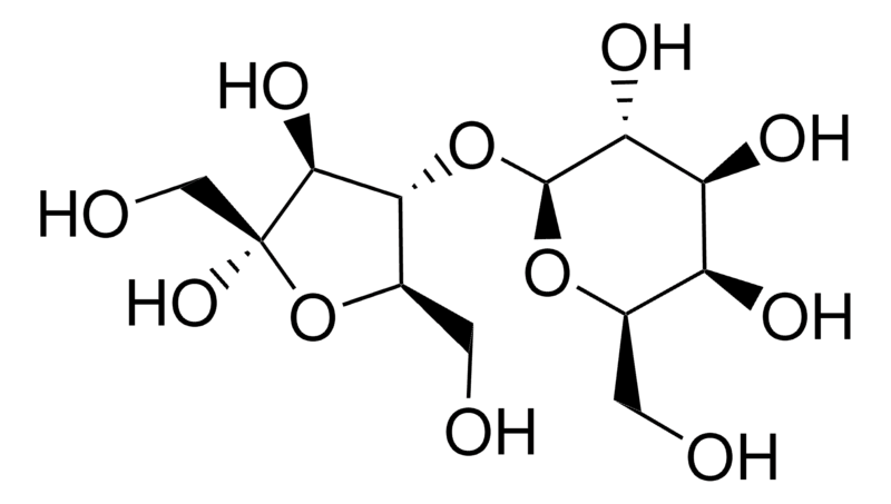 Merck Lactulose