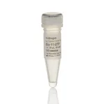 Thermo Fisher Scientific Bio-11-UTP (10 mM)