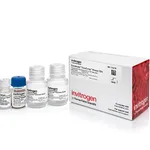 Thermo Fisher Scientific Dynabeads FlowComp Mouse CD4 Kit