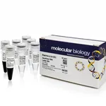 Thermo Fisher Scientific GeneRuler DNA Ladder Mix