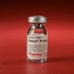 Thermo Fisher Scientific Pierce Protein A