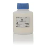 Thermo Fisher Scientific Universal Assay Buffer (10X)