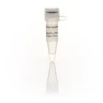Thermo Fisher Scientific Oligo(dT)18 Primer, 60 μL