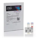 Thermo Fisher Scientific Membrane Permeability Dead Cell Apoptosis Kit with PO-PRO-1 and 7-Aminoactinomycin D, for flow cytometry