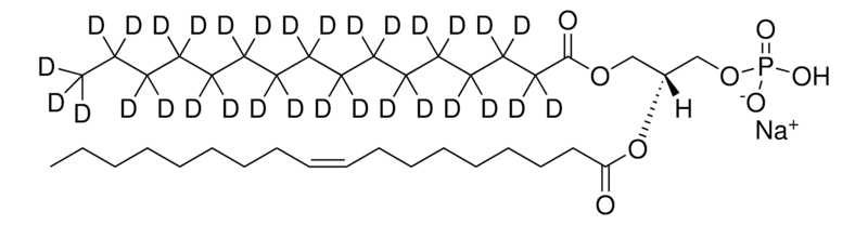 Merck 16:0-d31-18:1 PA