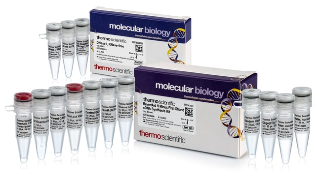 Thermo Fisher Scientific RevertAid H Minus First Strand cDNA Synthesis Kit, with DNase I, 20 reactions