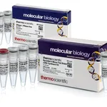 Thermo Fisher Scientific RevertAid H Minus First Strand cDNA Synthesis Kit, with DNase I, 20 reactions