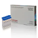 Thermo Fisher Scientific Fluo-4, AM, FluoroPure grade - Special Packaging