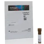 Thermo Fisher Scientific Lycopersicon Esculentum (Tomato) Lectin (LEL, TL), Texas Red
