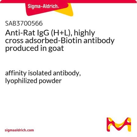 Merck Anti-Rat IgG (H+L), highly cross adsorbed-Biotin antibody produced in goat