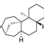 Merck APHIDICOLIN FROM NIGROSPORA SPHAERICA