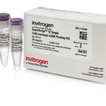 Thermo Fisher Scientific SuperScript IV Single Cell/Low Input cDNA PreAmp Kit, 48 reactions