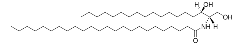 Merck C24 Dihydroceramide (d18:0/24:0)