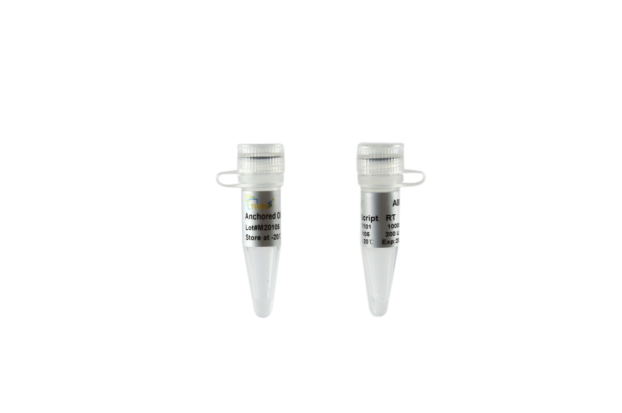 TransScript® Reverse Transcriptase