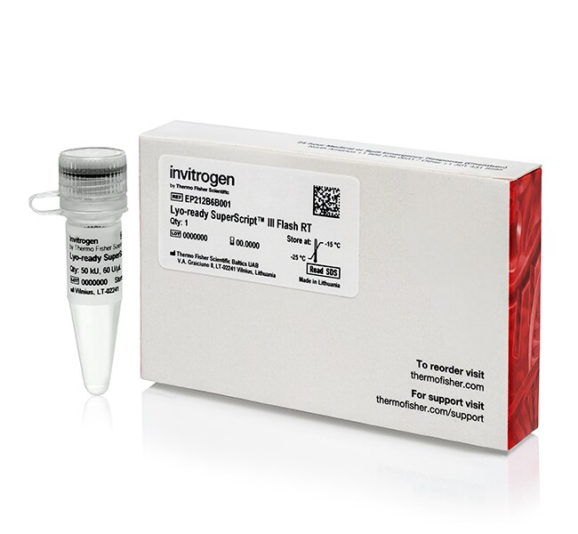 Thermo Fisher Scientific Lyo-ready SuperScript III Flash Reverse Transcriptase (60 U/μL), 50 kU