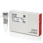 Thermo Fisher Scientific Lyo-ready SuperScript III Flash Reverse Transcriptase (60 U/μL), 50 kU