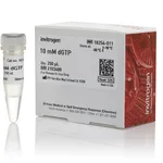 Thermo Fisher Scientific dGTP (10 mM)