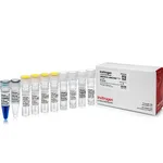Thermo Fisher Scientific mMESSAGE mMACHINE T7 Transcription Kit