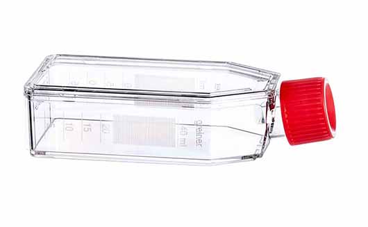 Greiner Bio One CELL CULTURE FLASK, 50 ML, 25 CM², PS,RED FILTER SCREW CAP, CLEAR, CELLSTAR® TC, STERILE, 10 PCS./BAG