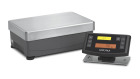 High-capacity paint-mixing scale
