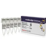 Thermo Fisher Scientific EquiPhi29 DNA Polymerase Reaction Buffer (10X)