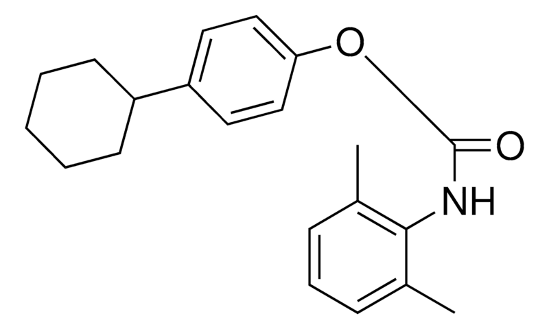 Merck 4-CYCLOHEXYLPHENYL N-(2,6-XYLY - 50 MG&