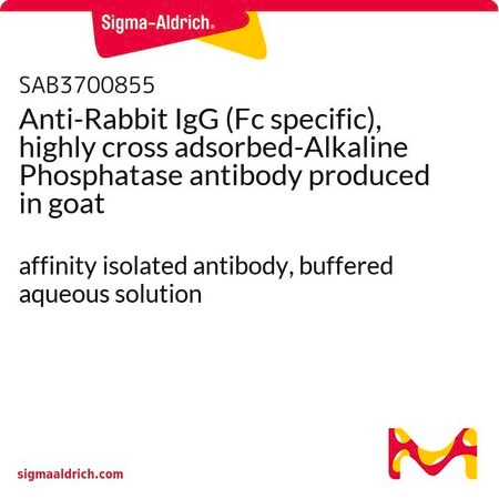 Merck Anti-Rabbit IgG (Fc specific), highly cross adsorbed-Alkaline Phosphatase antibody produced in goat