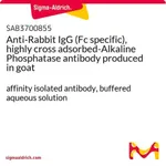 Merck Anti-Rabbit IgG (Fc specific), highly cross adsorbed-Alkaline Phosphatase antibody produced in goat