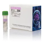 Thermo Fisher Scientific Human CXCL2 (GRO beta) Recombinant Protein