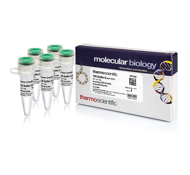 Thermo Fisher Scientific Buffer G (10X)