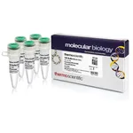 Thermo Fisher Scientific Buffer G (10X)