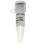 Thermo Fisher Scientific MgCl2 (magnesium chloride) (25 mM)