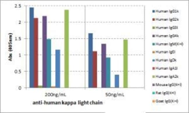 Thermo Fisher Scientific Rabbit anti-Human Kappa Light Chain Recombinant Secondary Antibody, Biotin