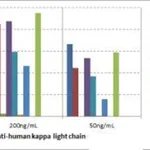 Thermo Fisher Scientific Rabbit anti-Human Kappa Light Chain Recombinant Secondary Antibody, Biotin
