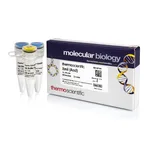 Thermo Fisher Scientific XmiI (AccI) (10 U/μL), 400 U