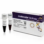 Thermo Fisher Scientific GeneRuler 100 bp DNA Ladder, ready-to-use, 50 ug, 100 applications